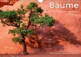 Kiedrowski |  Bäume - Wegbegleiter der Natur (Wandkalender 2019 DIN A4 quer) | Sonstiges |  Sack Fachmedien