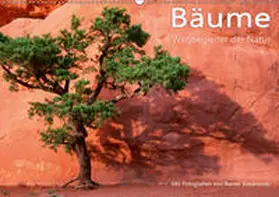 Kiedrowski |  Bäume - Wegbegleiter der Natur (Wandkalender 2019 DIN A2 quer) | Sonstiges |  Sack Fachmedien