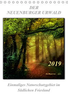 Roder |  Der Neuenburger Urwald (Tischkalender 2019 DIN A5 hoch) | Sonstiges |  Sack Fachmedien