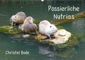 Bode |  Possierliche Nutrias (Wandkalender 2019 DIN A2 quer) | Sonstiges |  Sack Fachmedien