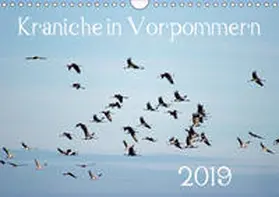 Reinhold |  Kraniche in Vorpommern (Wandkalender 2019 DIN A4 quer) | Sonstiges |  Sack Fachmedien