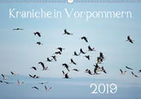 Reinhold |  Kraniche in Vorpommern (Wandkalender 2019 DIN A3 quer) | Sonstiges |  Sack Fachmedien