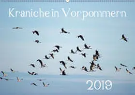 Reinhold |  Kraniche in Vorpommern (Wandkalender 2019 DIN A2 quer) | Sonstiges |  Sack Fachmedien