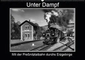 Maurer | Unter Dampf - Mit der Preßnitztalbahn durchs Erzgebirge (Wandkalender 2019 DIN A2 quer) | Sonstiges | 978-3-669-75488-0 | sack.de