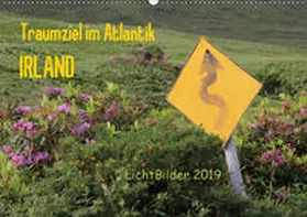 Weber |  IRLAND Traumziel im Atlantik (Wandkalender 2019 DIN A2 quer) | Sonstiges |  Sack Fachmedien