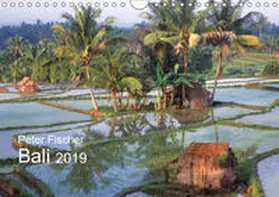 Fischer |  Peter Fischer - Bali 2019 (Wandkalender 2019 DIN A4 quer) | Sonstiges |  Sack Fachmedien