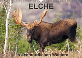 Henry |  ELCHE In den nördlichen Wäldern (Wandkalender 2019 DIN A3 quer) | Sonstiges |  Sack Fachmedien