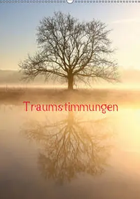 Kaiser |  Traumstimmungen (Wandkalender 2019 DIN A2 hoch) | Sonstiges |  Sack Fachmedien
