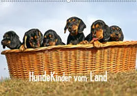 Müller |  Hundekinder vom Land (Wandkalender 2019 DIN A2 quer) | Sonstiges |  Sack Fachmedien