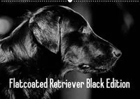 Müller |  Flatcoated Retriever Black Edition (Wandkalender 2019 DIN A2 quer) | Sonstiges |  Sack Fachmedien