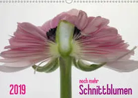 Weber-Gebert |  2019 - noch mehr SCHNITTBLUMEN (Wandkalender 2019 DIN A3 quer) | Sonstiges |  Sack Fachmedien