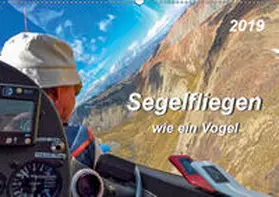 Roder |  Segelfliegen - wie ein Vogel (Wandkalender 2019 DIN A2 quer) | Sonstiges |  Sack Fachmedien