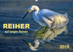 Roder |  Reiher - auf langen Beinen (Wandkalender 2019 DIN A2 quer) | Sonstiges |  Sack Fachmedien