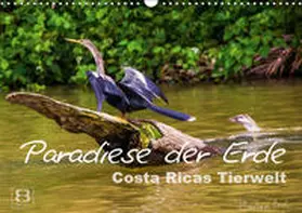 Busch |  Paradiese der Erde: Costa Ricas Tierwelt (Wandkalender 2019 DIN A3 quer) | Sonstiges |  Sack Fachmedien