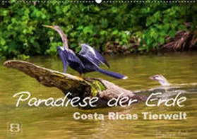 Busch |  Paradiese der Erde: Costa Ricas Tierwelt (Wandkalender 2019 DIN A2 quer) | Sonstiges |  Sack Fachmedien