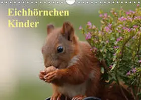 Meier |  Eichhörnchen Kinder (Wandkalender 2019 DIN A4 quer) | Sonstiges |  Sack Fachmedien