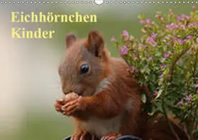 Meier |  Eichhörnchen Kinder (Wandkalender 2019 DIN A3 quer) | Sonstiges |  Sack Fachmedien