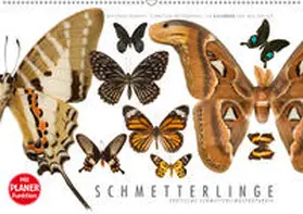 Gerlach |  Emotionale Momente: Schmetterlinge - exotische Schmetterlingspräparate (Wandkalender 2019 DIN A2 quer) | Sonstiges |  Sack Fachmedien