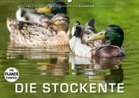 Gerlach |  Emotionale Momente: Die Stockente. (Wandkalender 2019 DIN A2 quer) | Sonstiges |  Sack Fachmedien