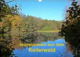 Busch |  Impressionen aus dem Kellerwald (Wandkalender 2019 DIN A3 quer) | Sonstiges |  Sack Fachmedien