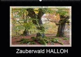 Maurer |  Zauberwald HALLOH (Wandkalender 2019 DIN A2 quer) | Sonstiges |  Sack Fachmedien