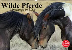 Stanzer |  Wilde Pferde. Mustangs in USA (Wandkalender 2019 DIN A2 quer) | Sonstiges |  Sack Fachmedien