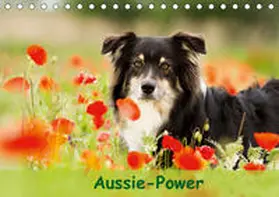 Mayer |  Aussie-Power (Tischkalender 2019 DIN A5 quer) | Sonstiges |  Sack Fachmedien
