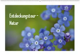 Möller |  Entdeckungstour - Natur (Wandkalender 2019 DIN A2 quer) | Sonstiges |  Sack Fachmedien
