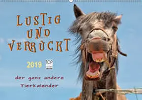 Roder |  Lustig und verrückt - der ganz andere Tierkalender (Wandkalender 2019 DIN A2 quer) | Sonstiges |  Sack Fachmedien