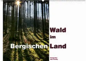 Haafke |  Wald im Bergischen Land 2019 (Wandkalender 2019 DIN A2 quer) | Sonstiges |  Sack Fachmedien