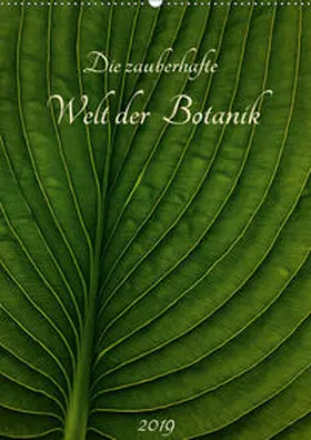 Pohl |  Die zauberhafte Welt der Botanik (Wandkalender 2019 DIN A2 hoch) | Sonstiges |  Sack Fachmedien