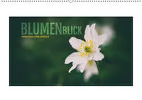 Jansen |  BlumenBlick (Wandkalender 2019 DIN A2 quer) | Sonstiges |  Sack Fachmedien