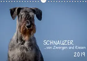Janz |  Schnauzer... von Zwergen und Riesen 2019 (Wandkalender 2019 DIN A4 quer) | Sonstiges |  Sack Fachmedien