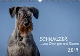 Janz |  Schnauzer... von Zwergen und Riesen 2019 (Wandkalender 2019 DIN A3 quer) | Sonstiges |  Sack Fachmedien