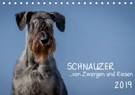 Janz |  Schnauzer... von Zwergen und Riesen 2019 (Tischkalender 2019 DIN A5 quer) | Sonstiges |  Sack Fachmedien