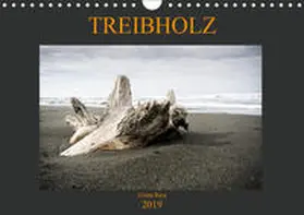 Staack |  Treibholz Costa Rica (Wandkalender 2019 DIN A4 quer) | Sonstiges |  Sack Fachmedien