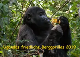 Krause | Ugandas friedliche Berggorillas (Wandkalender 2019 DIN A2 quer) | Sonstiges | 978-3-670-08780-9 | www2.sack.de