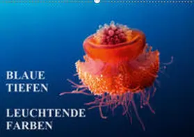 Adler |  Blaue Tiefen - Leuchtende Farben (Wandkalender 2019 DIN A2 quer) | Sonstiges |  Sack Fachmedien