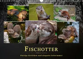 Roder |  Fischotter - putzige Kerlchen und elegante Schwimmer (Wandkalender 2019 DIN A3 quer) | Sonstiges |  Sack Fachmedien