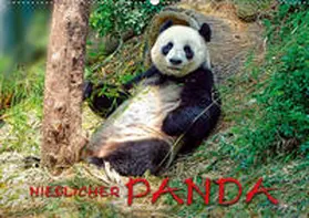 Roder |  Niedlicher Panda (Wandkalender 2019 DIN A2 quer) | Sonstiges |  Sack Fachmedien