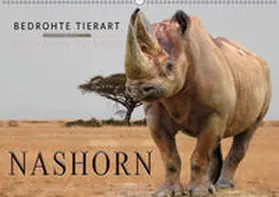 Roder |  Bedrohte Tierart - Nashorn (Wandkalender 2019 DIN A2 quer) | Sonstiges |  Sack Fachmedien