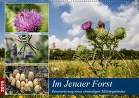 Gropp |  Im Jenaer Forst (Wandkalender 2019 DIN A2 quer) | Sonstiges |  Sack Fachmedien