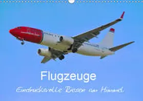 Merz | Flugzeuge - Eindrucksvolle Riesen am Himmel (Wandkalender 2019 DIN A3 quer) | Sonstiges | 978-3-670-12754-3 | sack.de