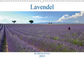 Werner | Lavendel. Der Duft der Provence (Wandkalender 2019 DIN A3 quer) | Sonstiges | 978-3-670-13679-8 | sack.de