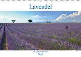 Werner | Lavendel. Der Duft der Provence (Wandkalender 2019 DIN A2 quer) | Sonstiges | 978-3-670-13680-4 | sack.de