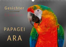 Roder |  Gesichter - Papagei Ara (Wandkalender 2019 DIN A3 quer) | Sonstiges |  Sack Fachmedien