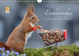 Meier |  Eichhörnchen Luna und ihre Kinder (Wandkalender 2019 DIN A4 quer) | Sonstiges |  Sack Fachmedien