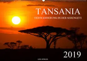 Köhler | Tansania - Tierwanderung in der Serengeti (Wandkalender 2019 DIN A2 quer) | Sonstiges | 978-3-670-15290-3 | sack.de