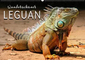 Roder |  Wunderschöner Leguan (Wandkalender 2019 DIN A2 quer) | Sonstiges |  Sack Fachmedien
