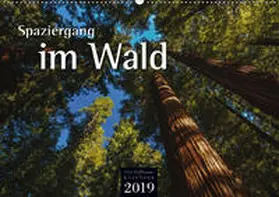 Hoffmann |  Spaziergang im Wald (Wandkalender 2019 DIN A2 quer) | Sonstiges |  Sack Fachmedien